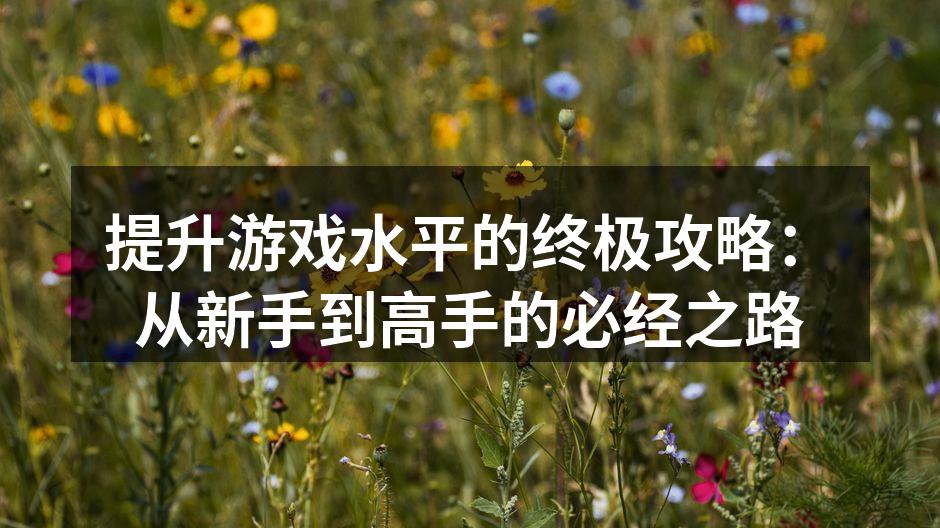 掌握游戏机制是提升水平的基础
